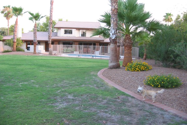 ../image/tiffany's wedding_phoenix trip july 2005 007.jpg